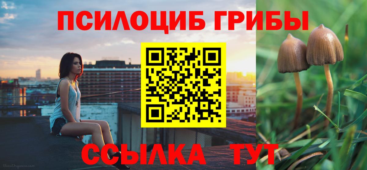Галлюциногенные грибы мицелий Моздок