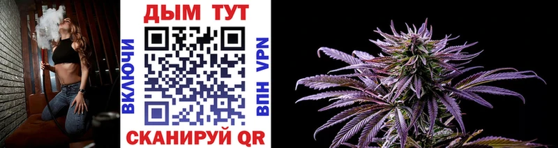 Конопля Bruce Banner  Моздок 